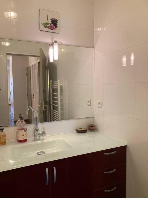 T3 - 62M2 - Parking Prive - Metro Apartman Toulouse Kültér fotó
